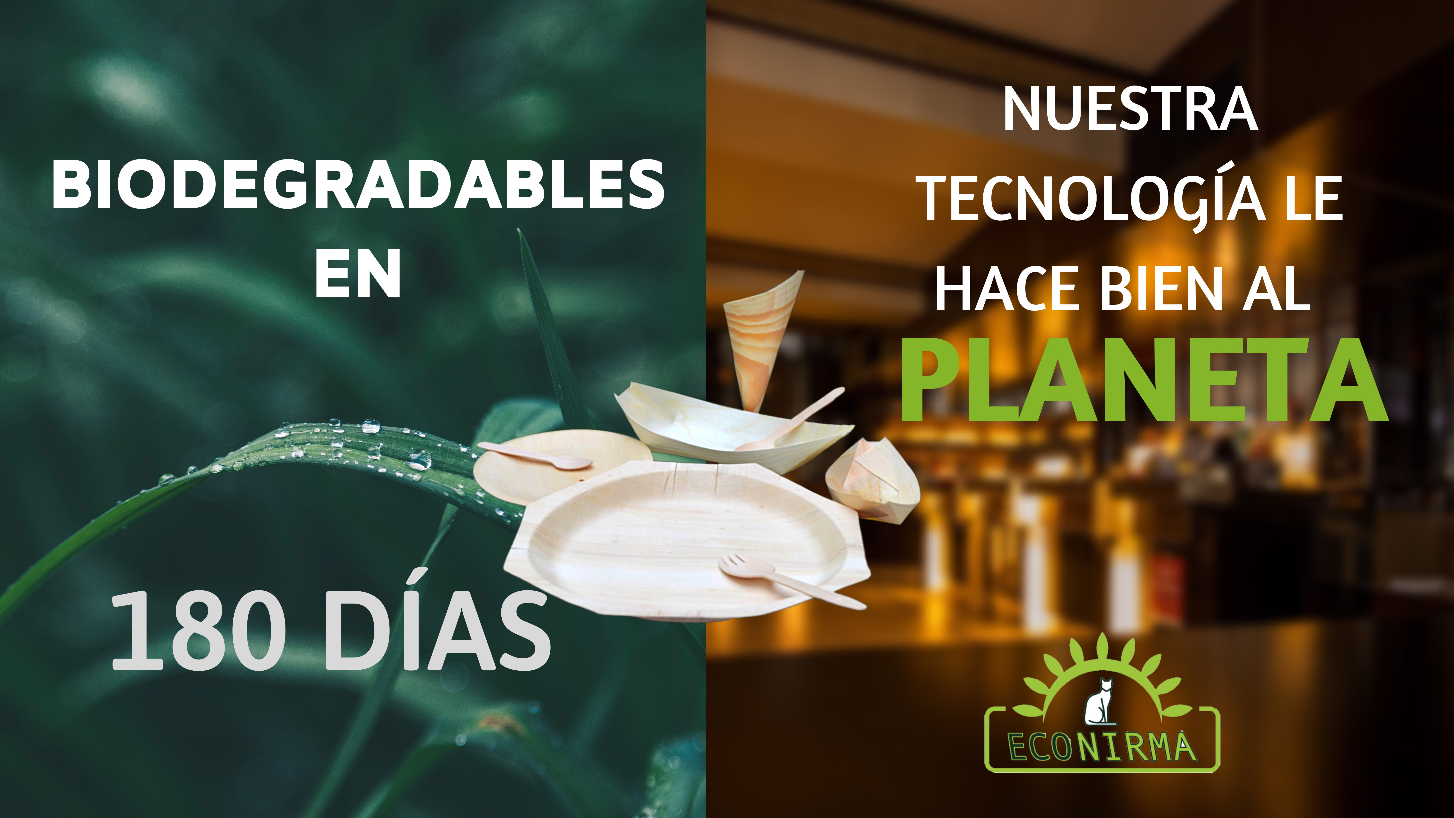 Platos Desechables en Colombia Ecologicos